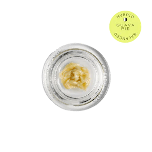 Hudson Cannabis | Guava Pie | Hybrid | Rosin Jar | 1g