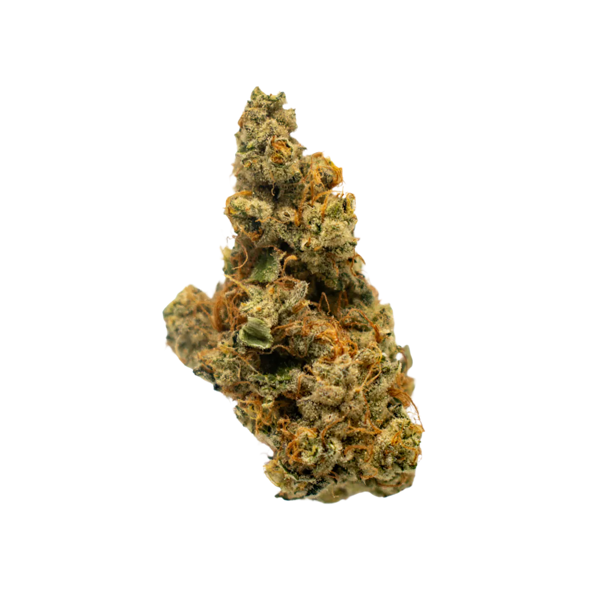Lemonhead Delight 1/8oz Flower | Root & Bloom