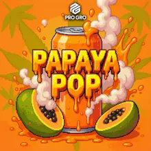 DELI - Pro Gro - Papaya Pop