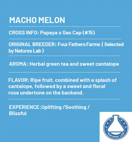 Macho Melon – Disp Live Rosin Vape-2