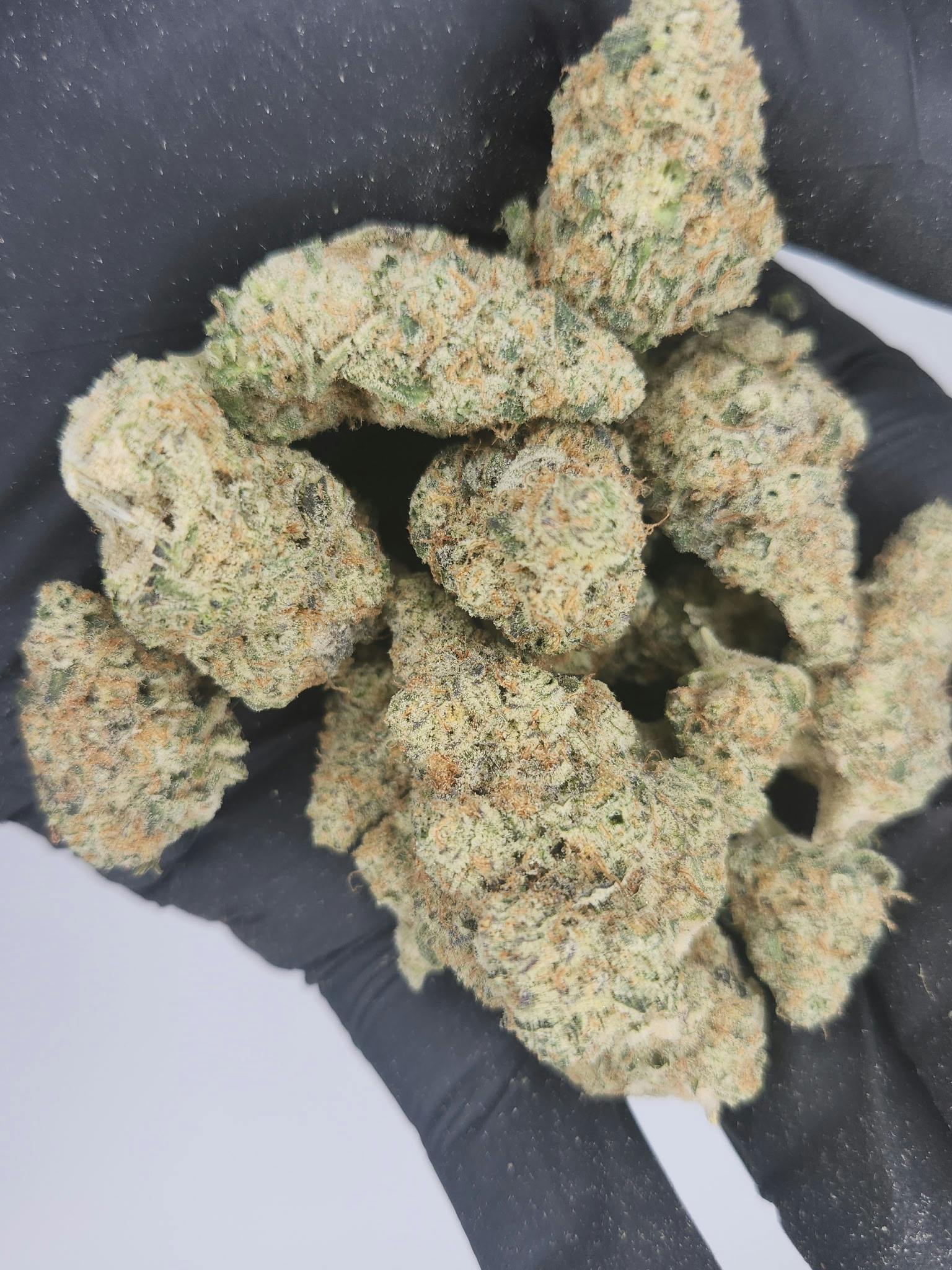 Product: Primo Danks | Bulk Bud - Mac & Jelly