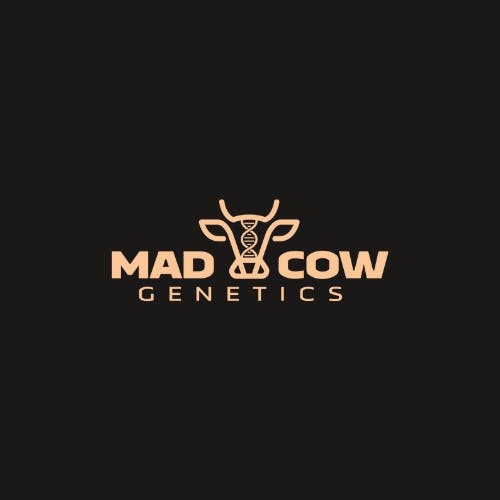 Mad Cow Smalls Mylar Bag | Kimochi