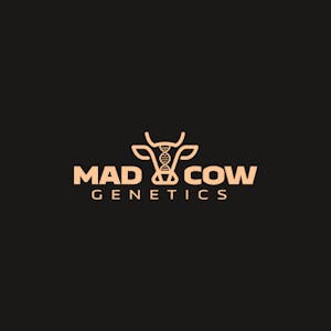 Mad Cow Smalls Mylar Bag | Kimochi