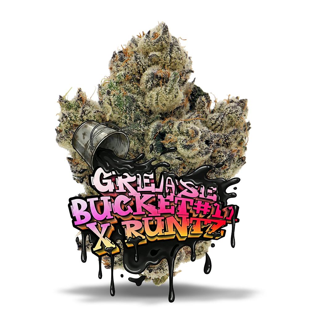 Shop 06 OG #67 - Premium Flower in Bonita Springs | Jungle Boys