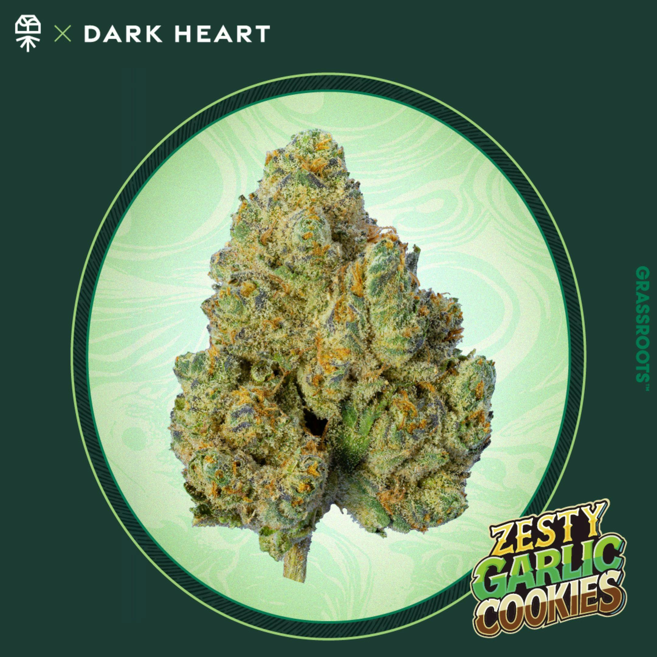Product Zesty Garlic Cookies (I) Grassroots Dark Heart Collection