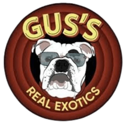 Gus's Exotics - 3.5g Prepack - Red 40