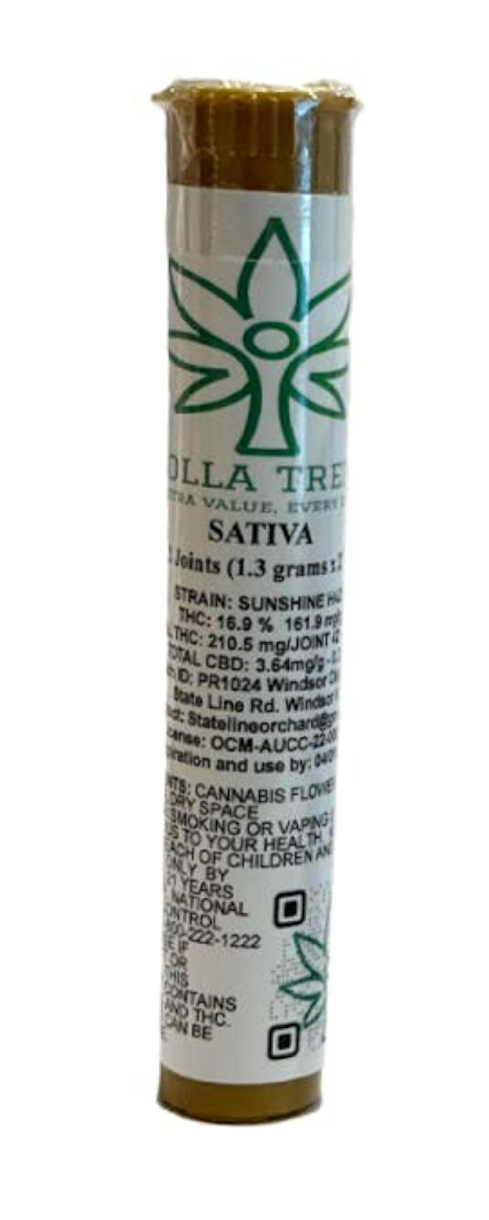 Product Preroll | Sunshine Haze (S) | 1.3g 2 pack | Dolla Treez
