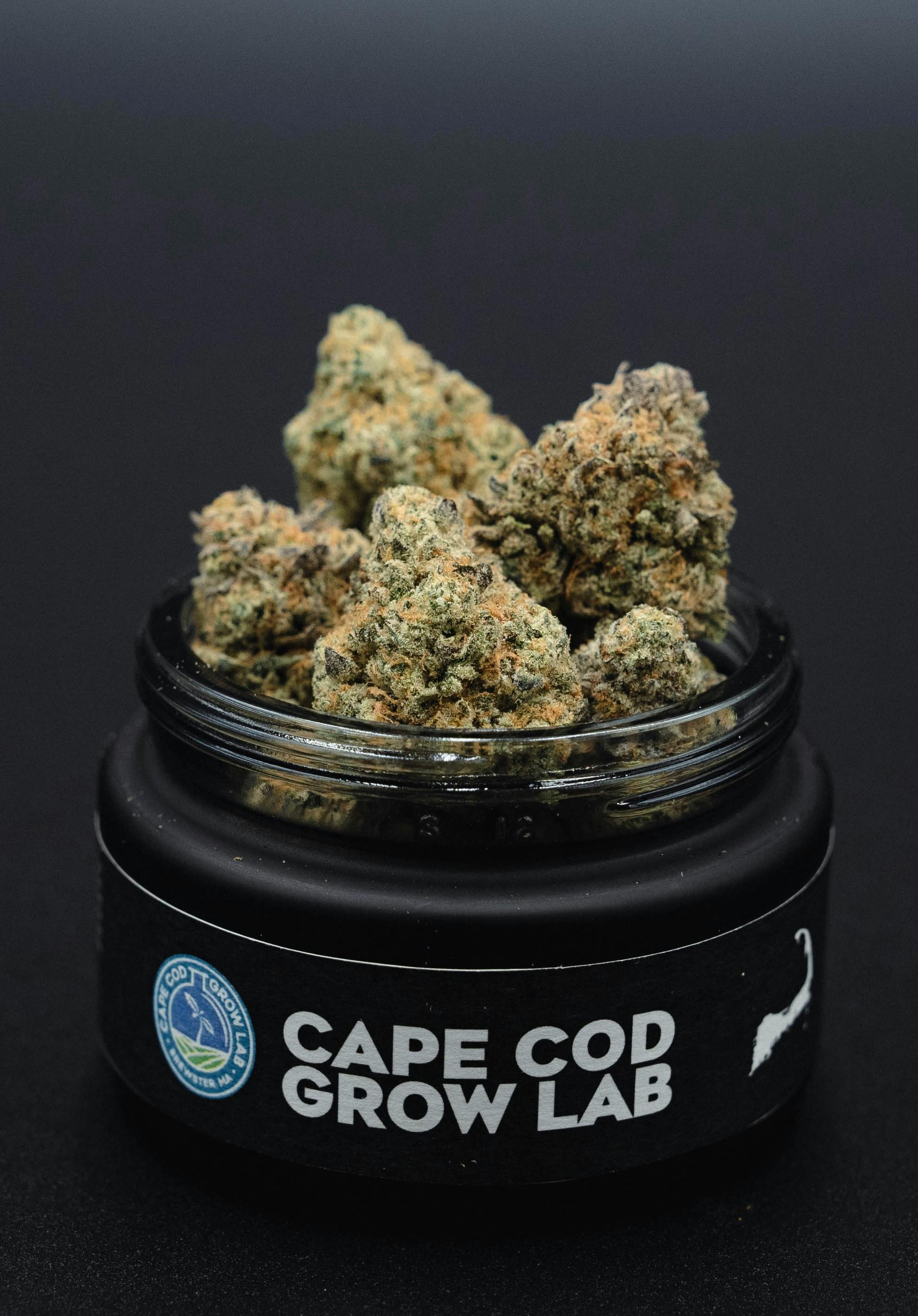 Morpheus（モーフィアス） Capo カポ Shop Cape Cod Grow Labs | Paul Morphy (S) Flower in Orleans