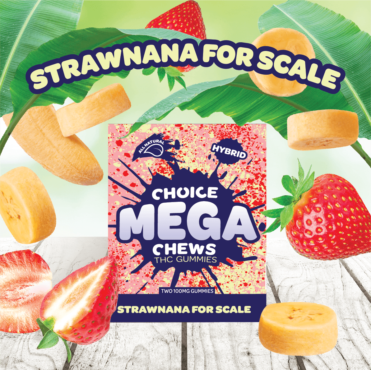 Choice MEGA Chews - 200mg Gummies - Strawnana for Scale (H)