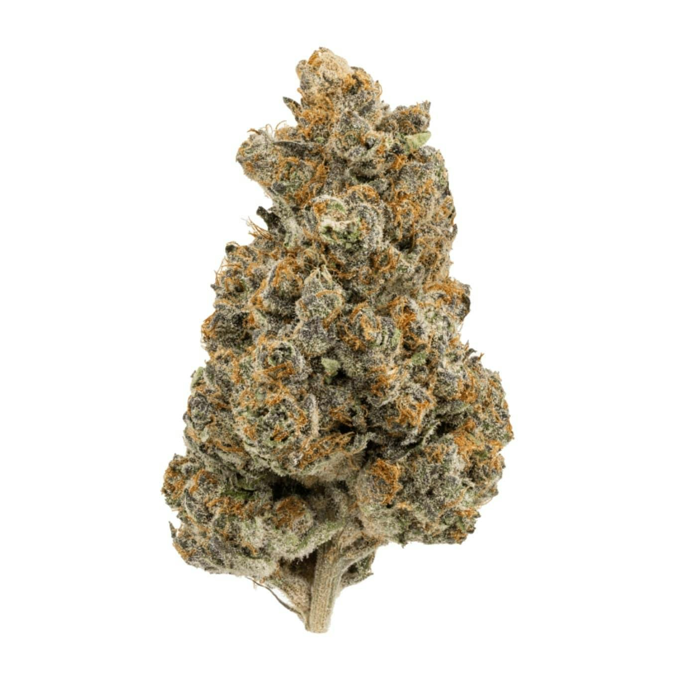 Product: PANDA CANNABIS | RS-11 | BULK | INDICA-HYBRID
