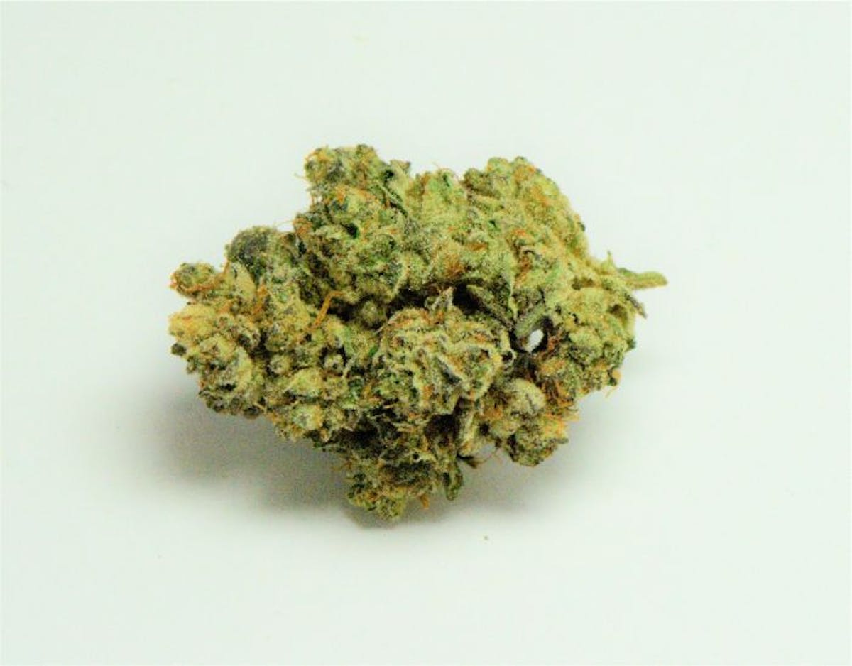 Photo of Platinum Shelf – Dank Dough (S)