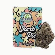 Product: PENINSULA GARDENS | SHERB PIE | PRE-PACK HYBRID