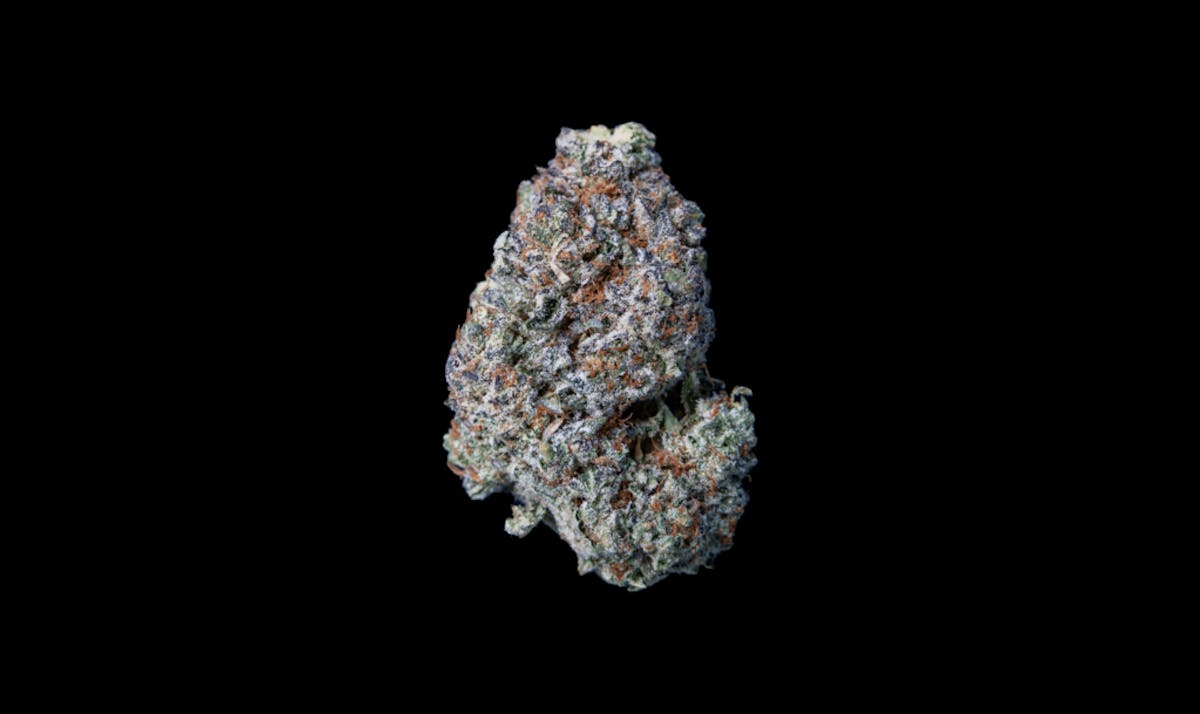 Image of Blueberry Dawg | .5g Infused Preroll 2pk