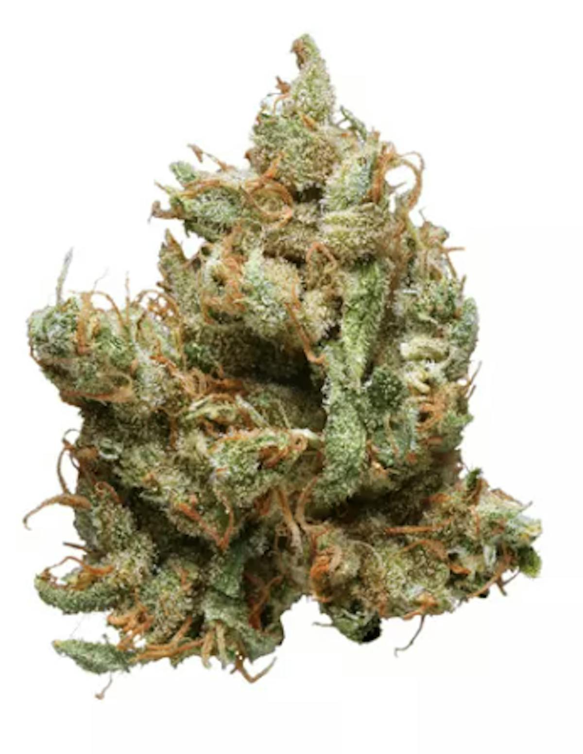 Image of Blue Ultra