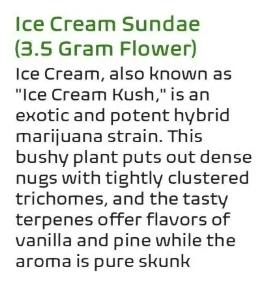 The Ladies Ice Cream Sundae
