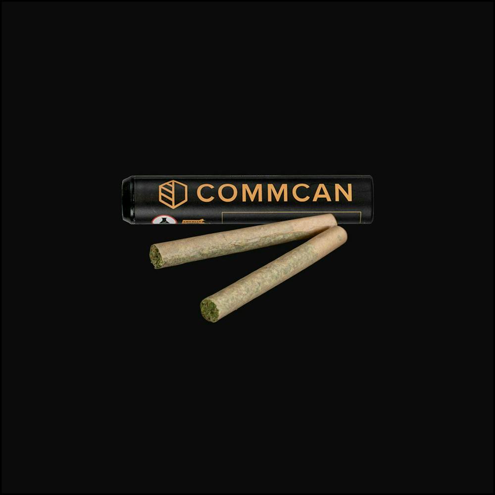 Product Sour Diesel x Animal Cookies | Pre-roll 1g 2pk