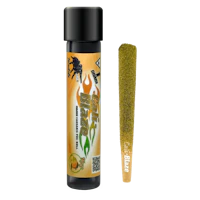 Mango Tarantula | 1g - product image at King of Budz