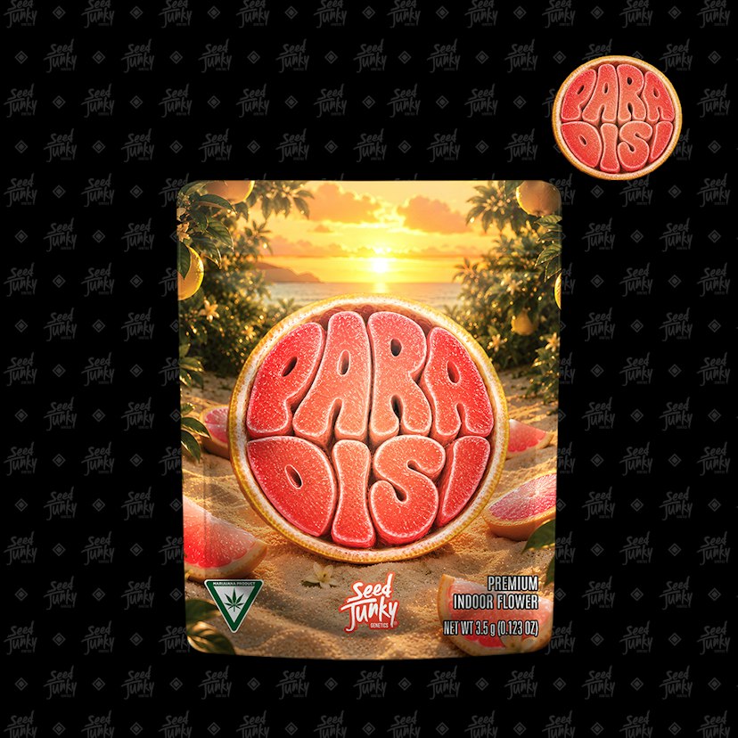 Seed Junky Prepacked Flower | Paradisi