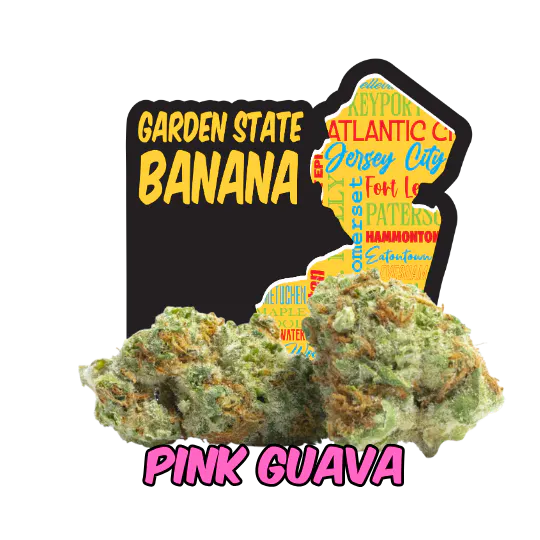 Garden State Banana | MPX NJ - Pennsauken REC