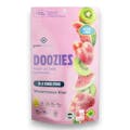Doozies: CBG 3:1 Fly Watermelon Kiwi - 10pk 400mg