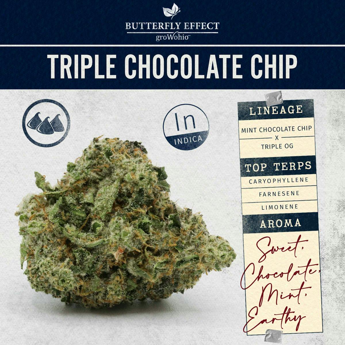 image of Triple Chocolate Chip