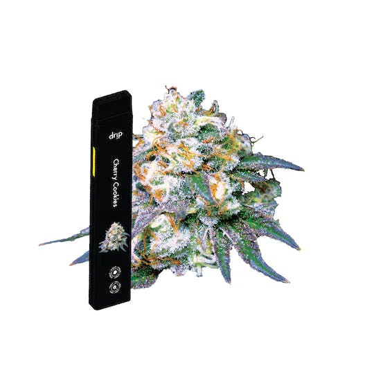 DRIP | CHERRY COOKIES | DISPOSABLE HYBRID