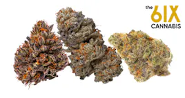 Flower category image
