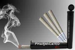 Ph.d Preroll - Rain Mintz