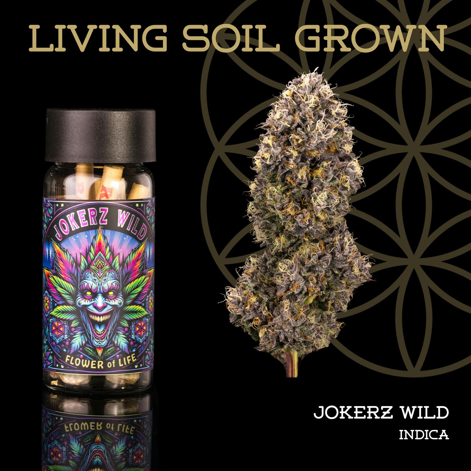 Product: Flower of Life | Pre-Roll 5-Pack - 2.5g - Jokerz Wild