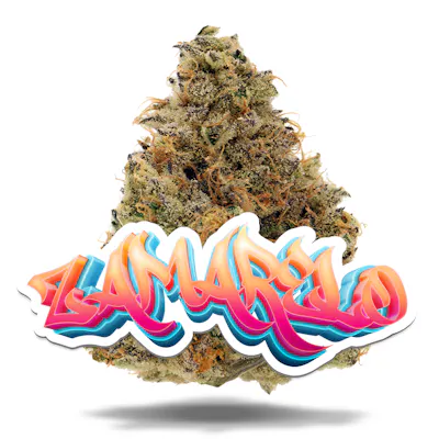 Zamarelo - Premium Flower