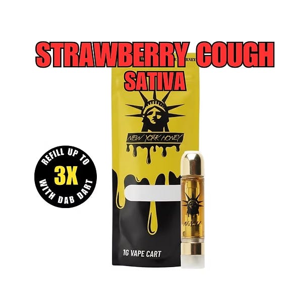 vape disposables staten island NY Honey - 510 Cartridge - Strawberry Cough Pax Accessory Flavors:Mango On ice North 5000 Disposable –