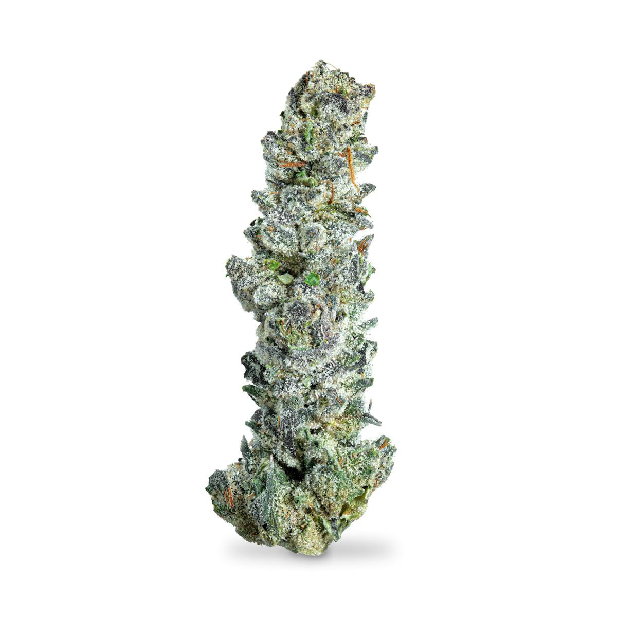 Photo of Bananaconda #4