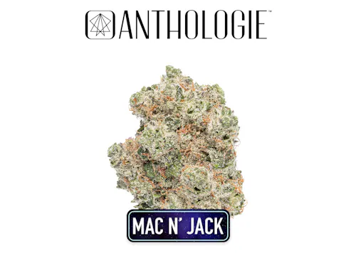 Anthologie Mac N Jack Small Bud 7g-active
