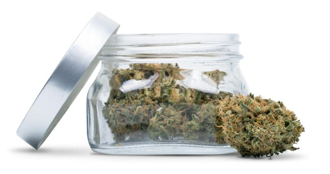 Lobo Infused Pre-Ground Deps & Outs Flower | 28g | Sativa Blend