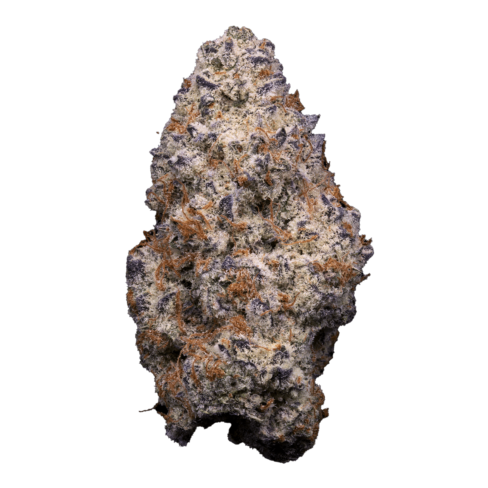 Sunshine Extracts Dantes Inferno PP