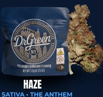 Dr. Green | Haze