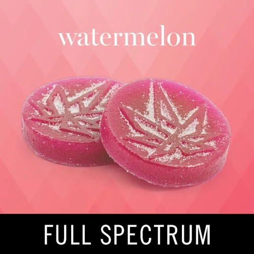Levitate - 100mg Full Spectrum Gummies - Watermelon