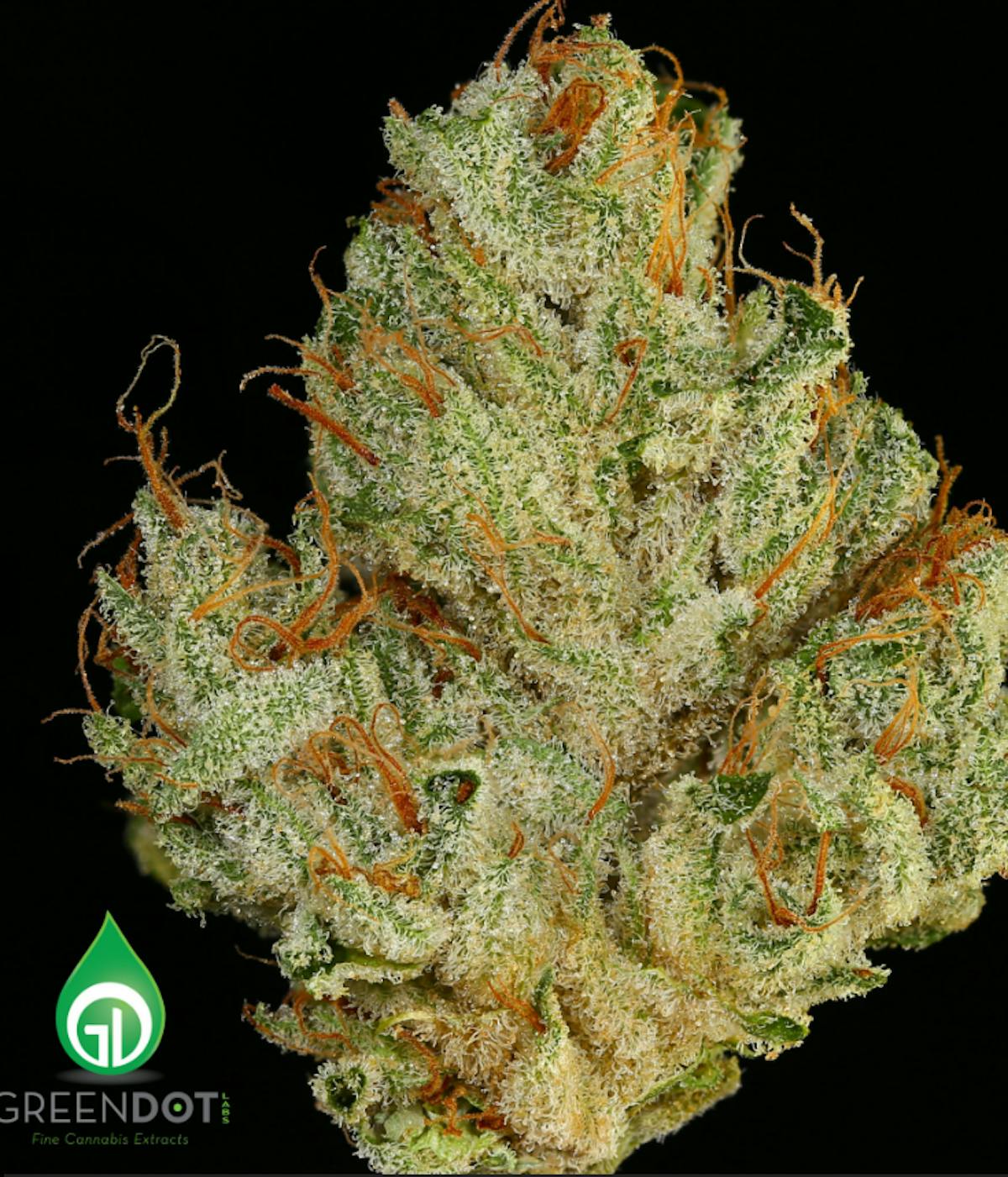 Photo of Green Dot – Pre-Packed – I-95 (H)