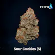 Sour Cookies