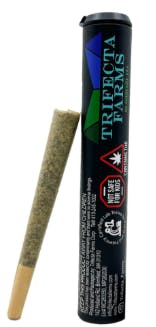 Product: Glue Dream [1g]