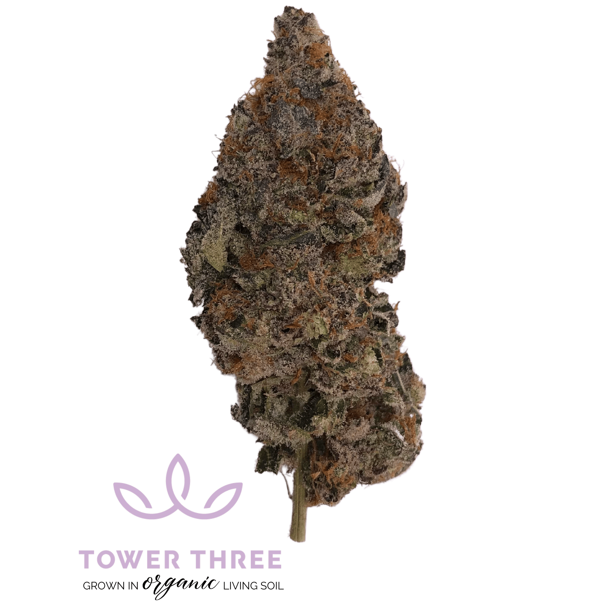 Product Maple Butter | Flower | 3.5g