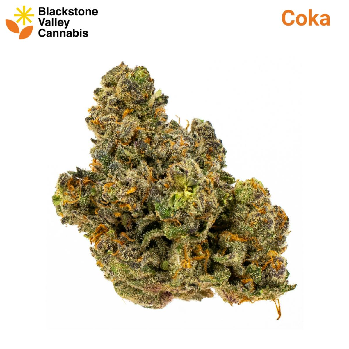 Product Coka - Flower