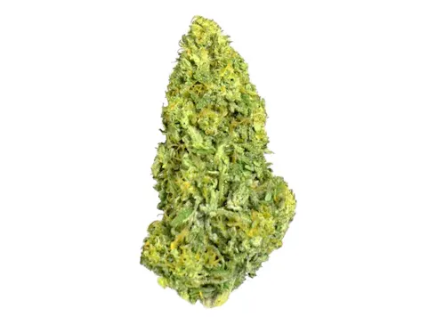 High Falls Canna | Killer Queen HV | Flower 3.5g-1