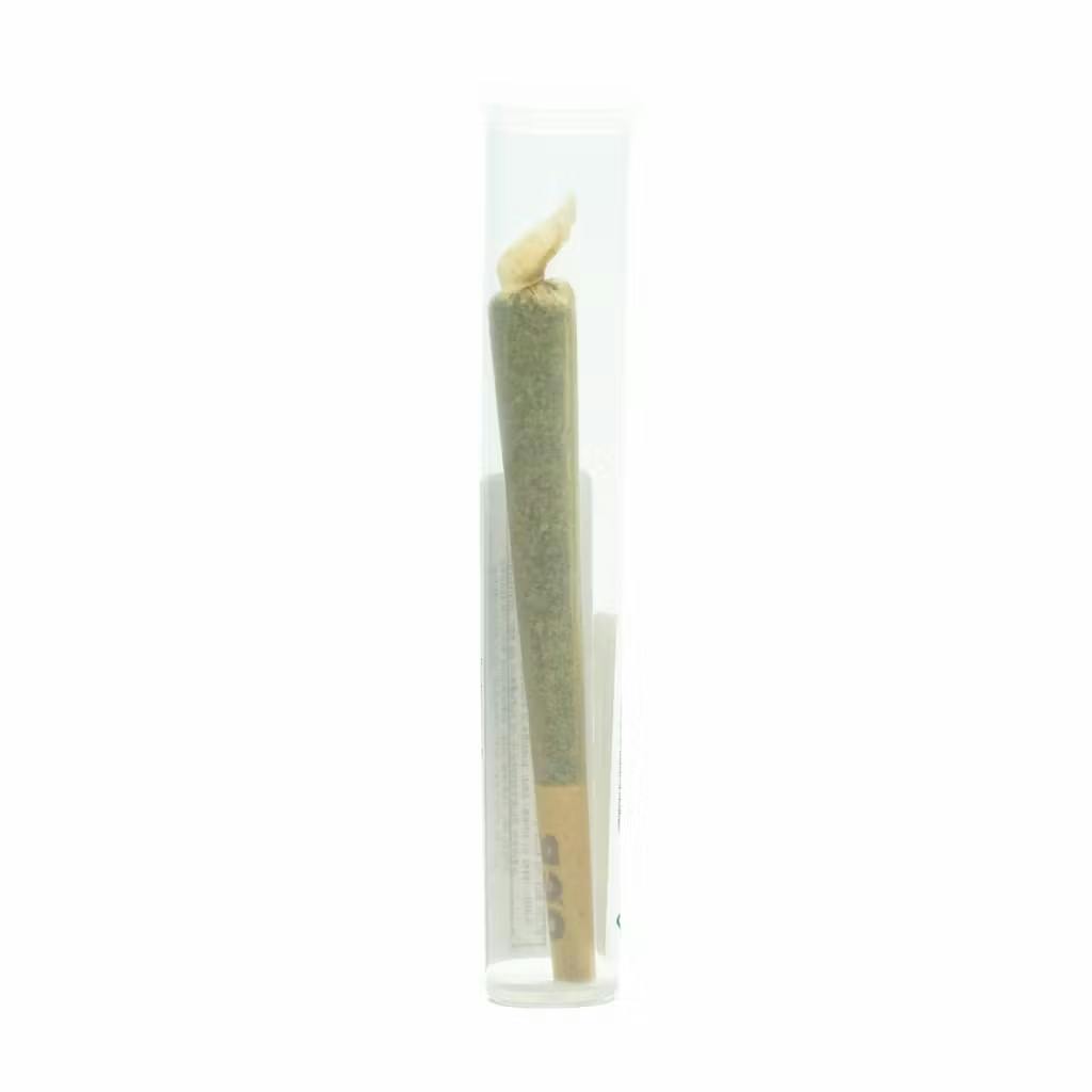Pincanna - 1g Preroll - Zkittlez Mintz
