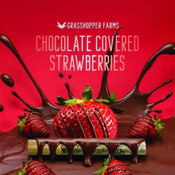 Product: Chocolate Covered Strawberry | Infused | Grasshopper Farms