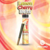 Lemon Cherry Belts 1G Pre-Roll - product image at King of Budz