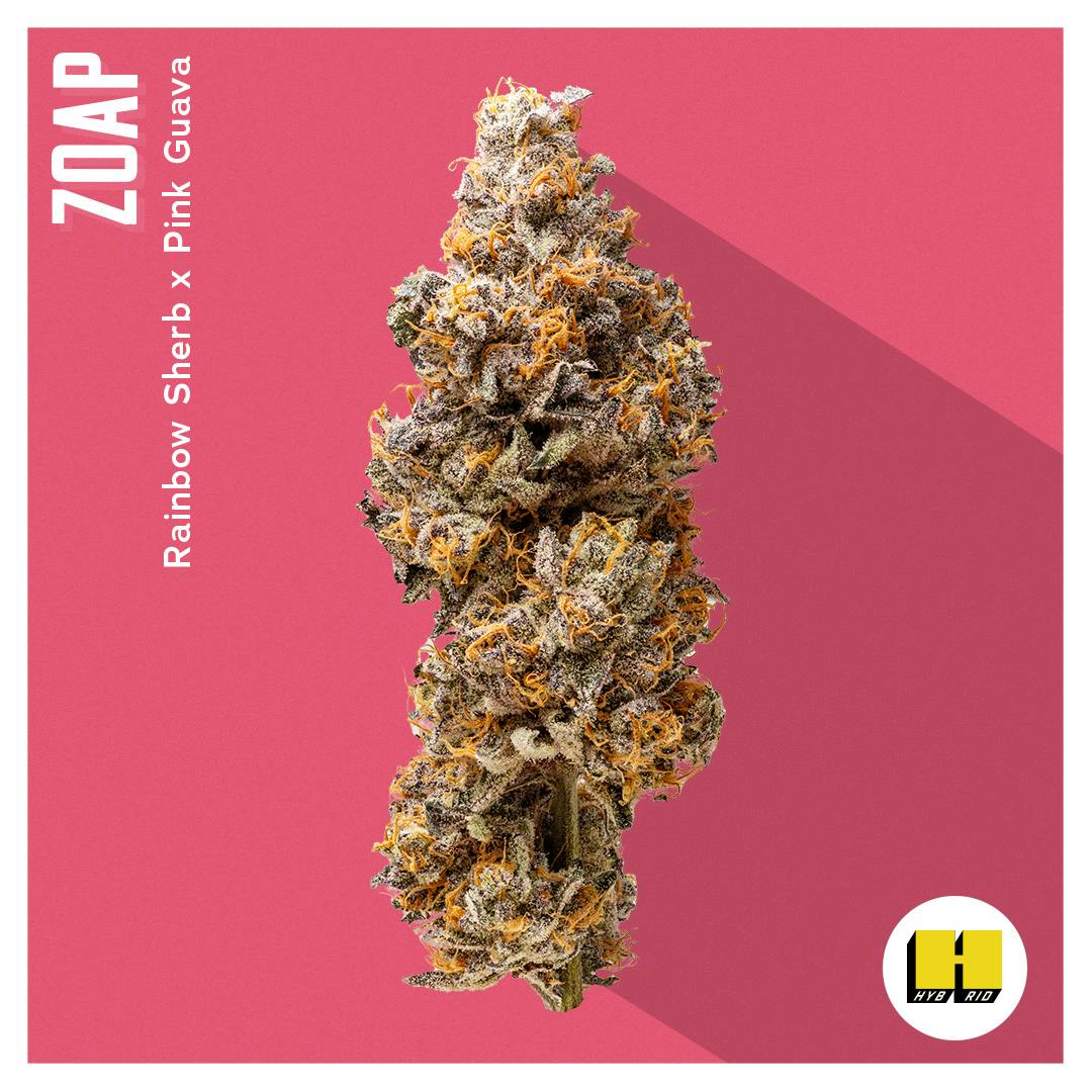 Flower - Zoap