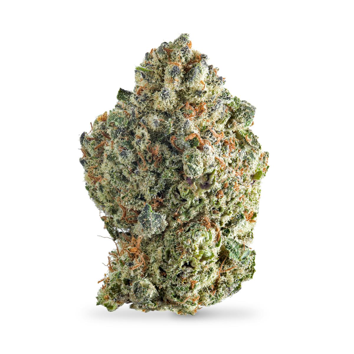 Photo of Platinum Dolato