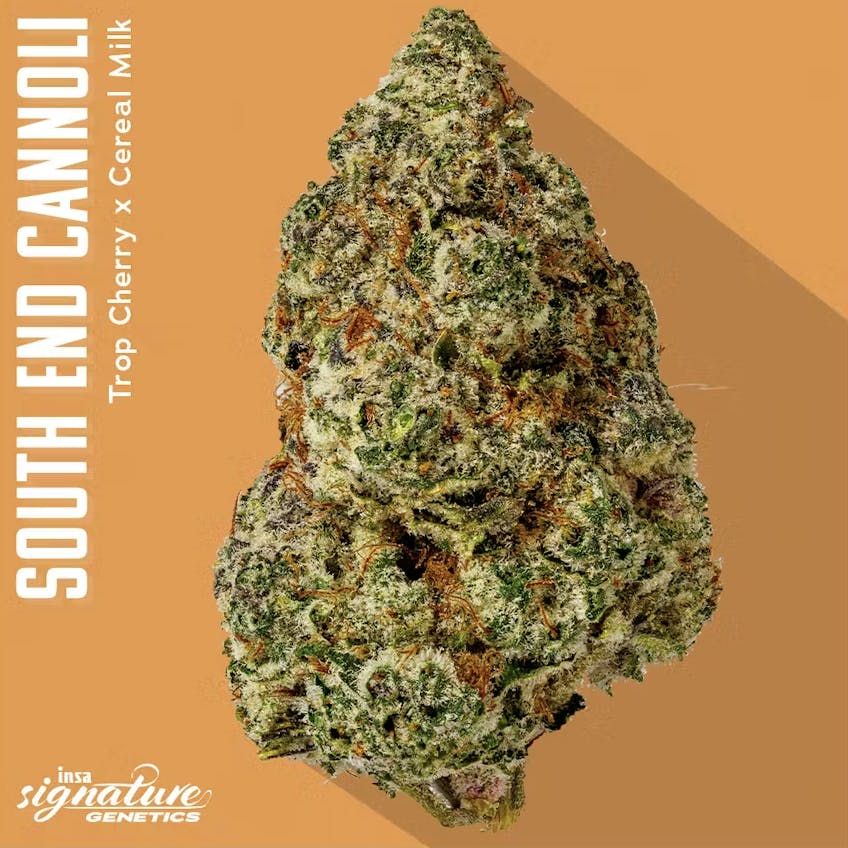 Product South End Cannoli - Flower