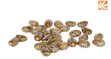 Seeds category image